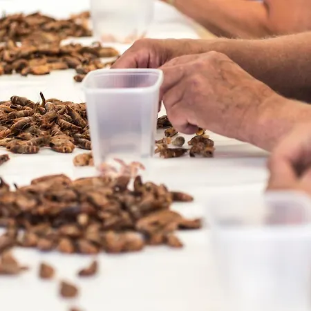 מלון Zum Alten Siel גריטזיל